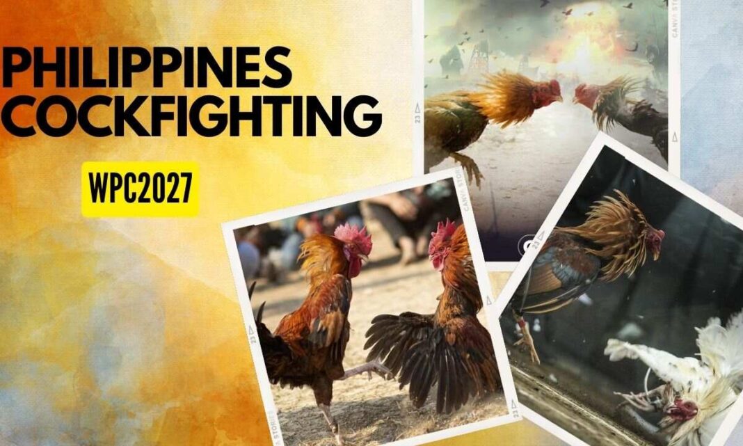 Wpc2027 Cockfighting